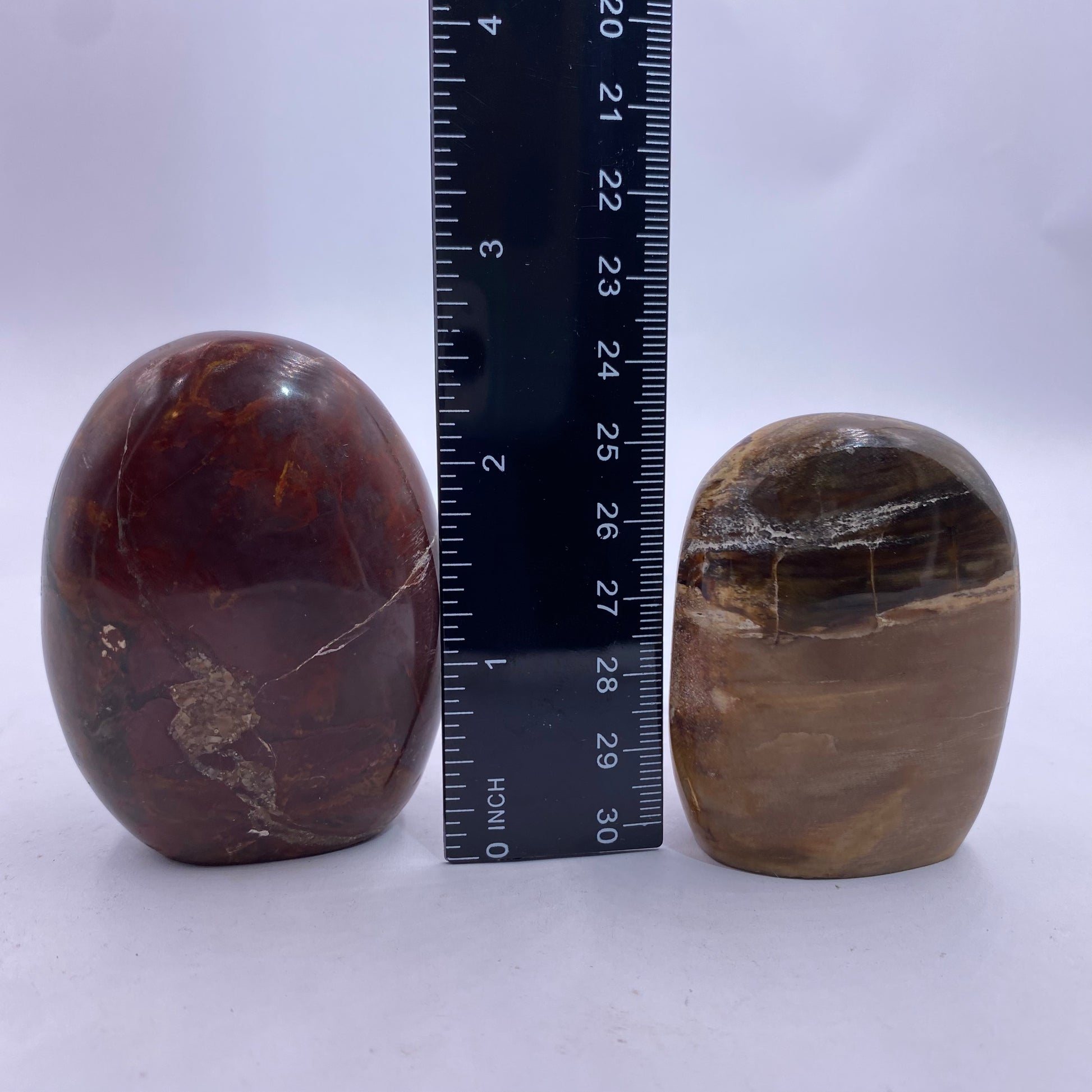 Petrified Wood Freeform - Funky Stuff