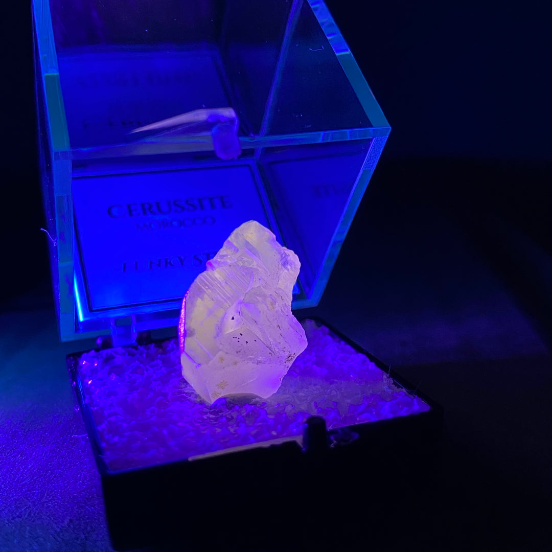 Cerussite (Thumbnail Case Specimen) UV Reactive - Funky Stuff