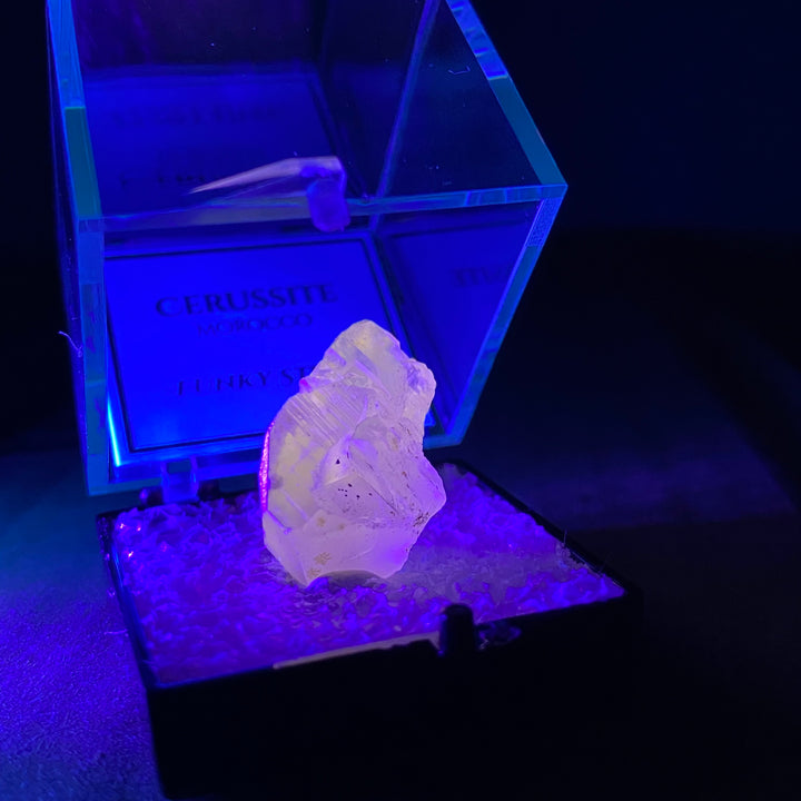 Cerussite (Thumbnail Case Specimen) UV Reactive - Funky Stuff