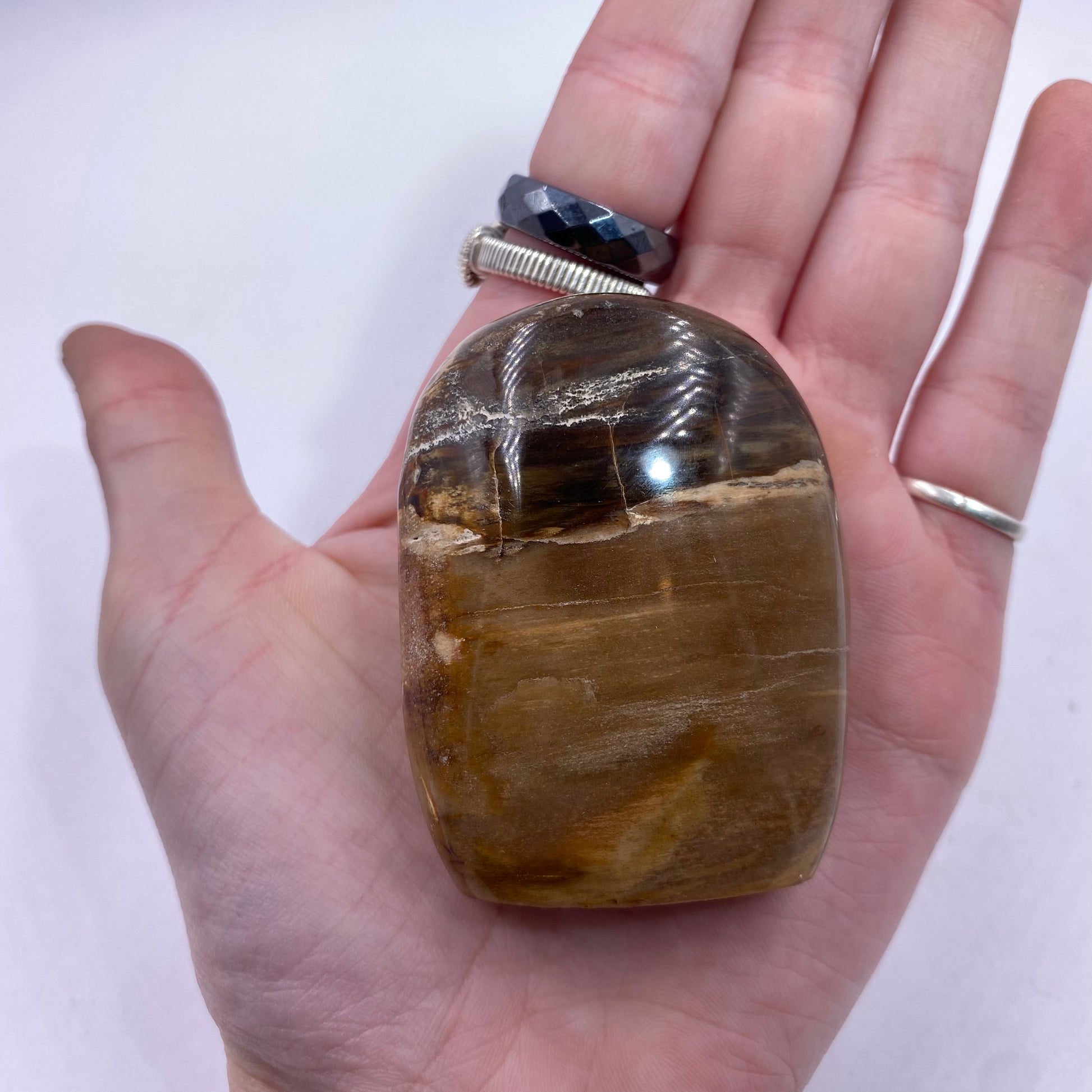 Petrified Wood Freeform - Funky Stuff