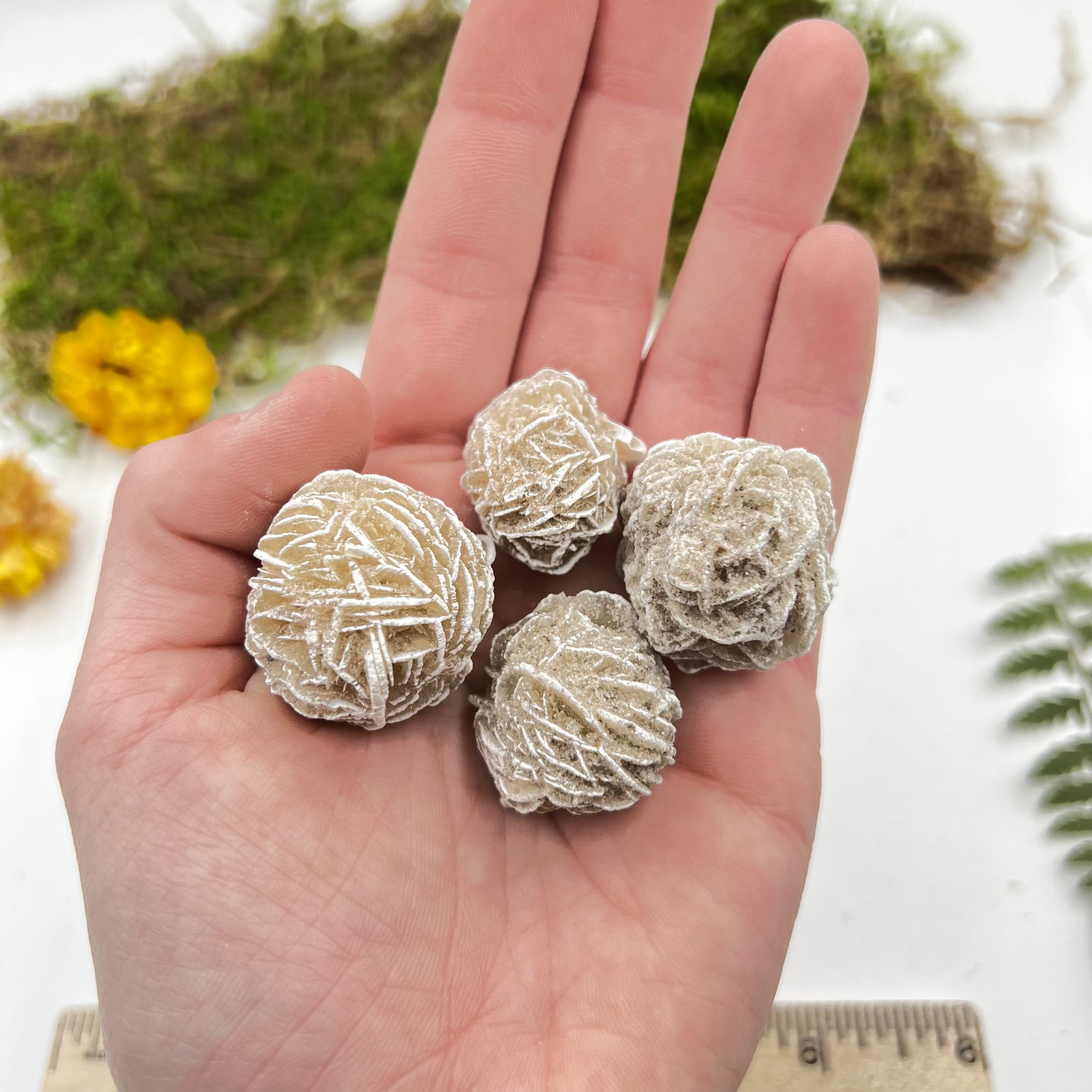 Gypsum Desert Rose - Funky Stuff