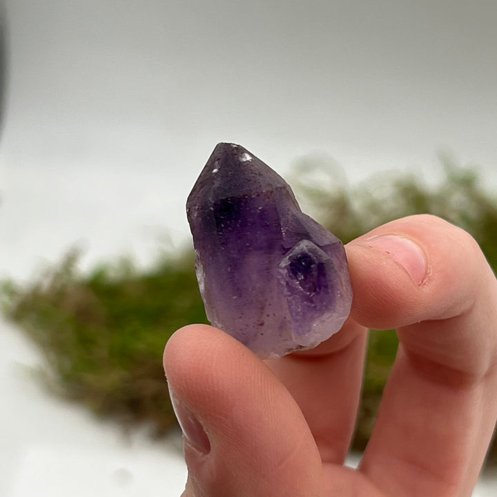 Brandberg Amethyst (Thumbnail Case Specimen) - Funky Stuff