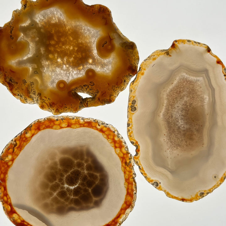 Agate Slice (Natural Color) - Funky Stuff