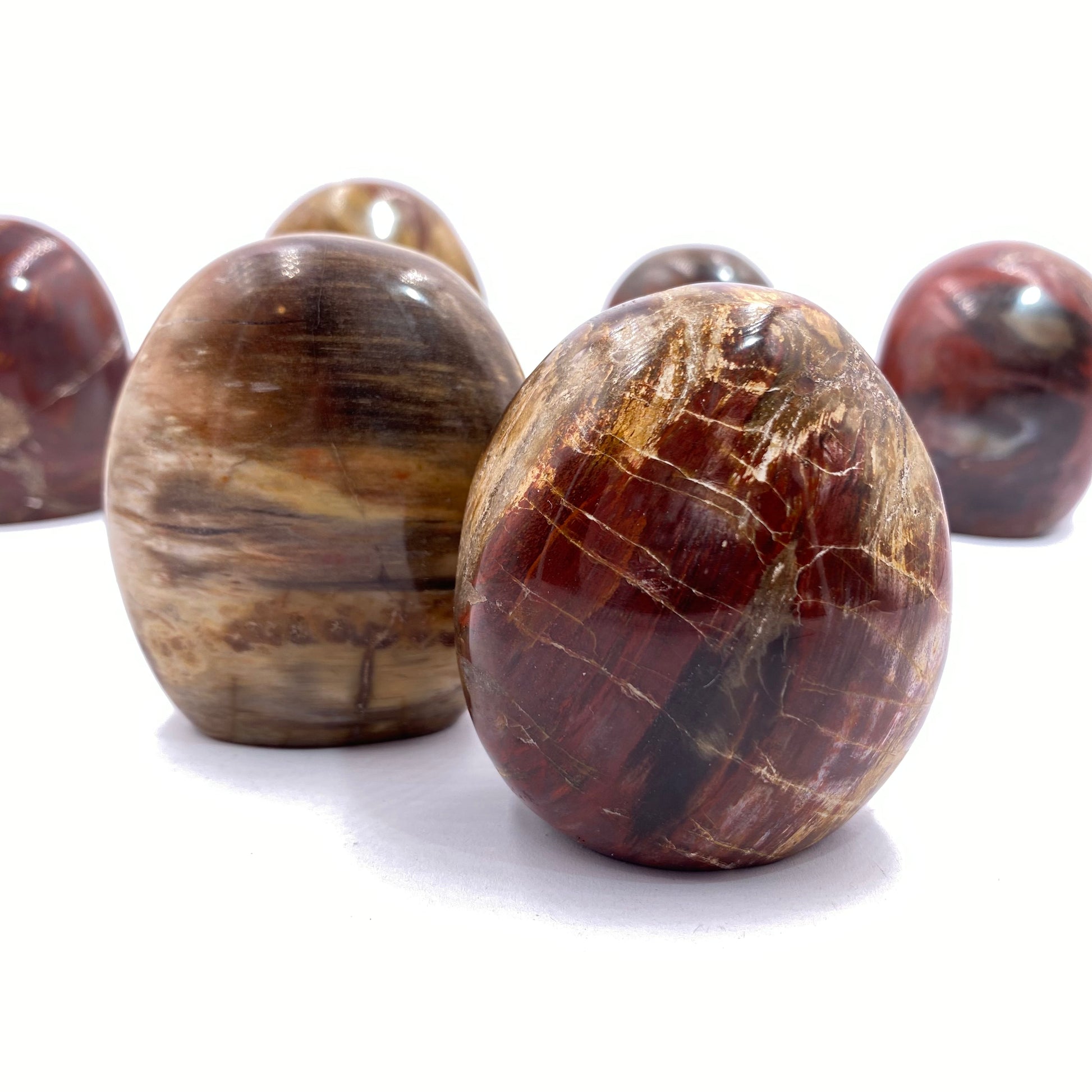 Petrified Wood Freeform - Funky Stuff