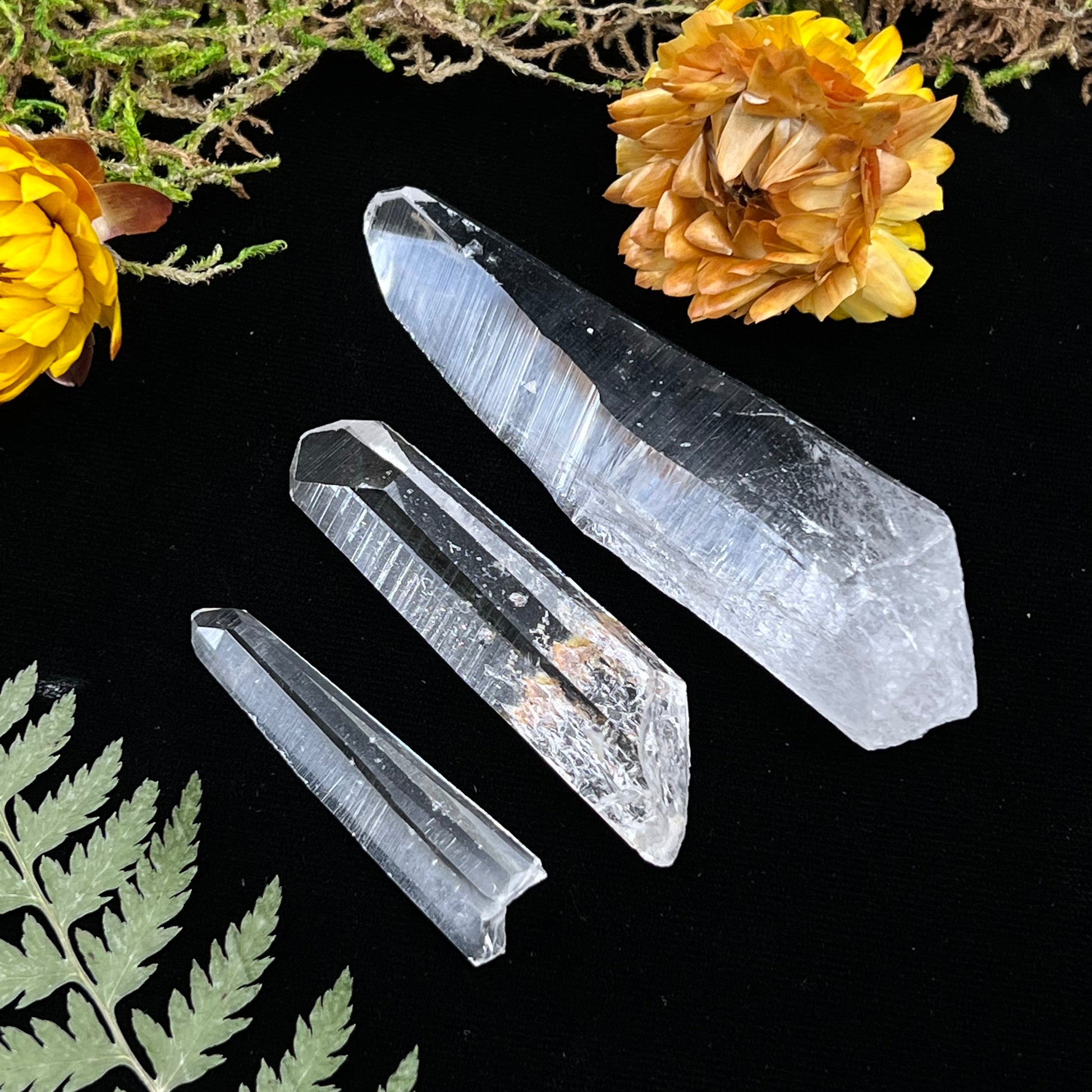 Colombian Quartz Point (Boxed Specimen) - Funky Stuff