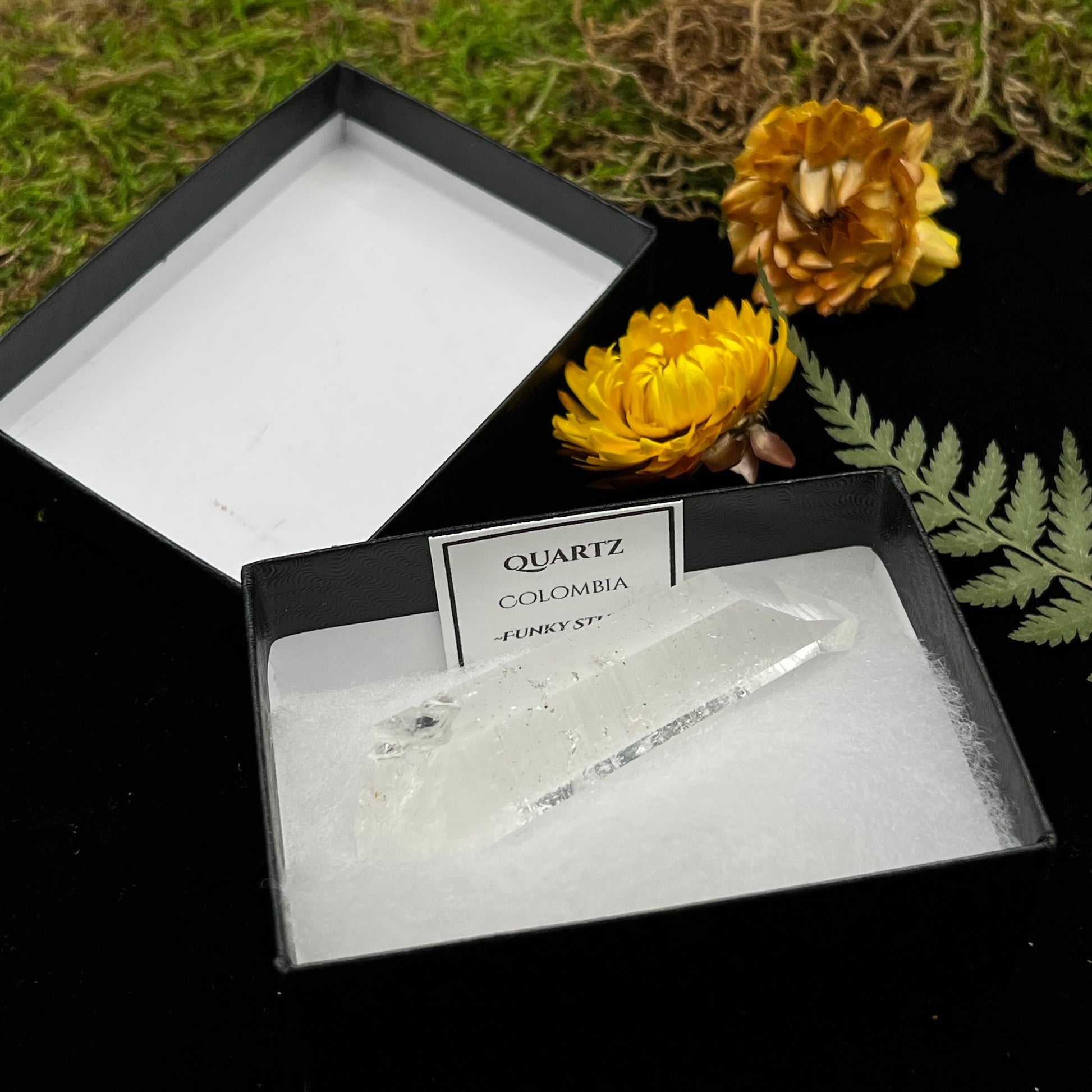 Colombian Quartz Point (Boxed Specimen) - Funky Stuff