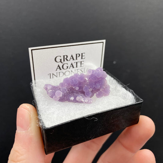 Grape Agate (A Grade) Boxed Specimen - Funky Stuff