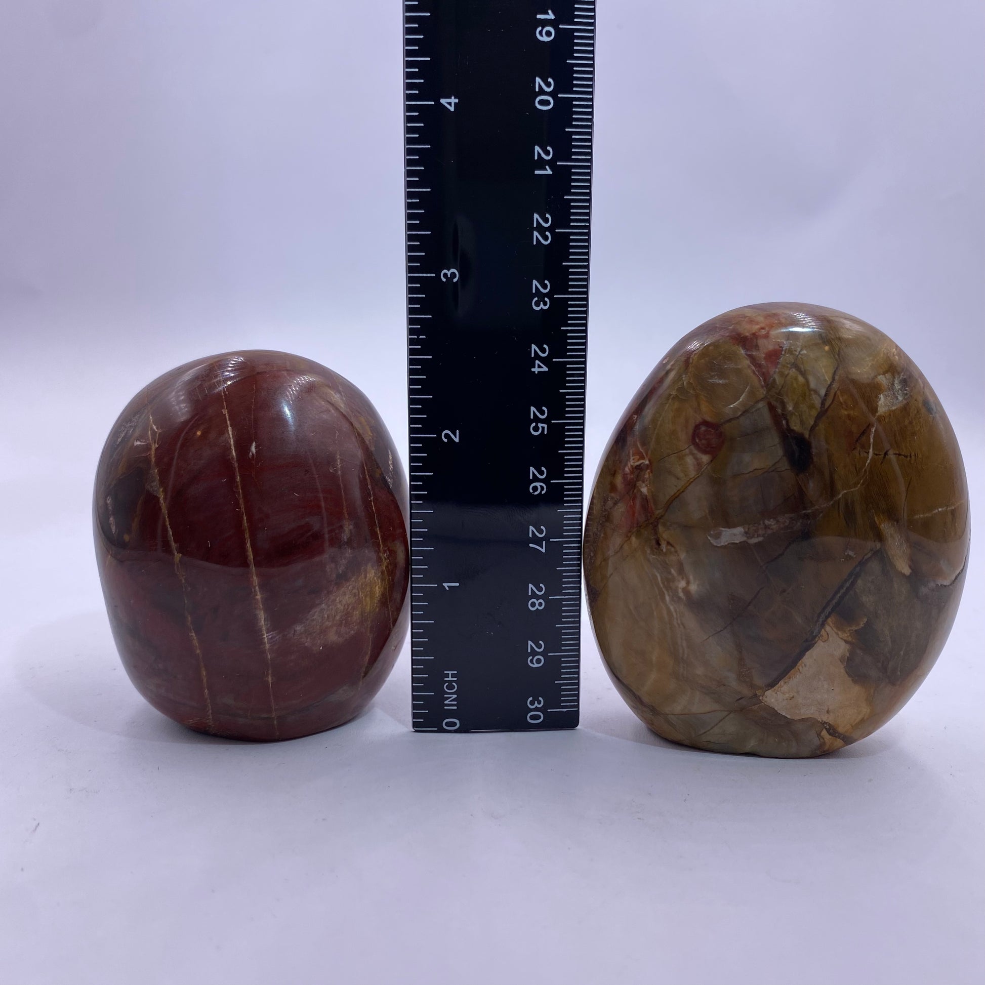 Petrified Wood Freeform - Funky Stuff